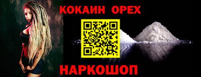 спиды Кингисепп