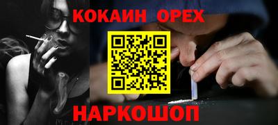 спиды Кингисепп