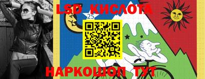 спиды Кингисепп