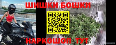 спиды Кингисепп