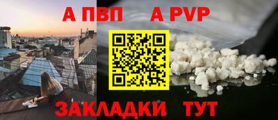 спиды Кингисепп