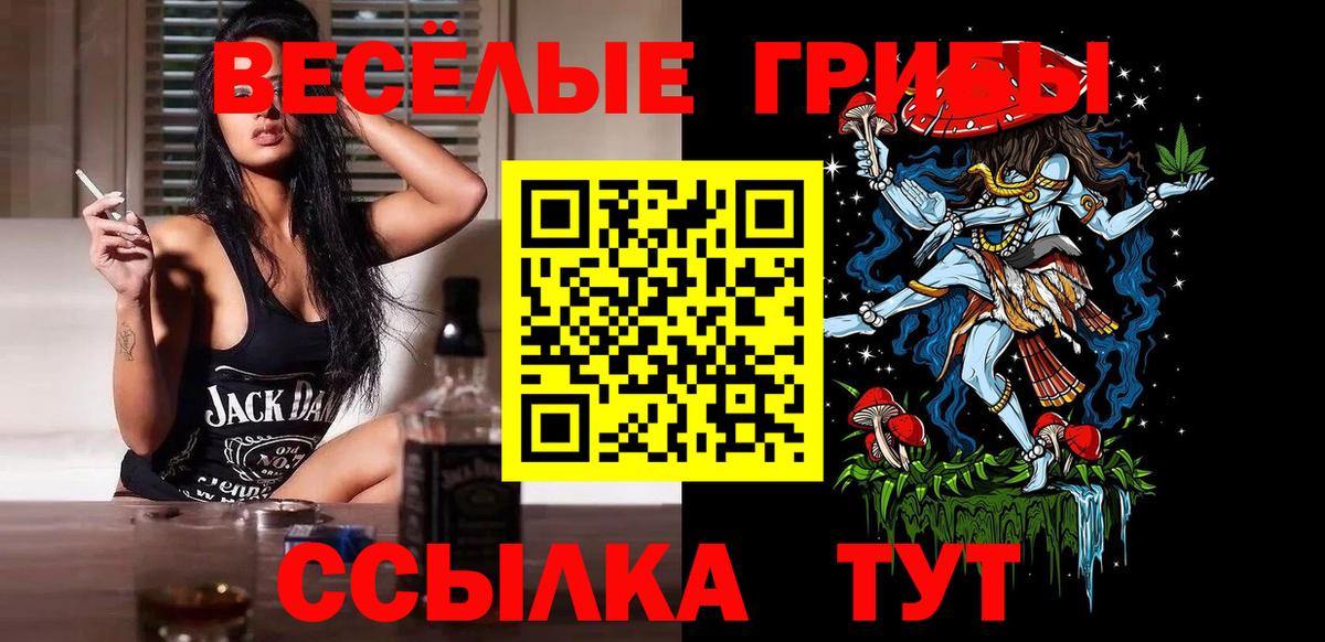 Избербаш  Галлюциногенные грибы прущие грибы  Вход с VPN 